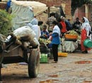 « Les pays en développement n’ont pas vraiment le choix »