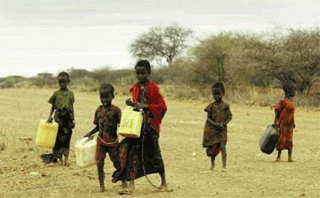 Quelles solutions contre la faim ?