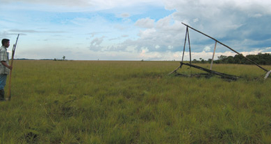 La palme du mépris