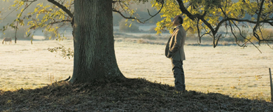 « L’Arbre et la Forêt » : les racines d’un secret