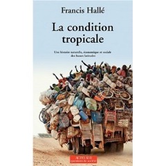 Illustration - Ma p’tite librairie