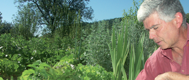 Révolution permanente en Normandie