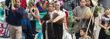 Le mauvais procès fait aux Mapuches