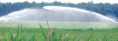 La pénurie d’eau, question très chaude