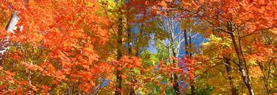 L’été indien n’existe pas…