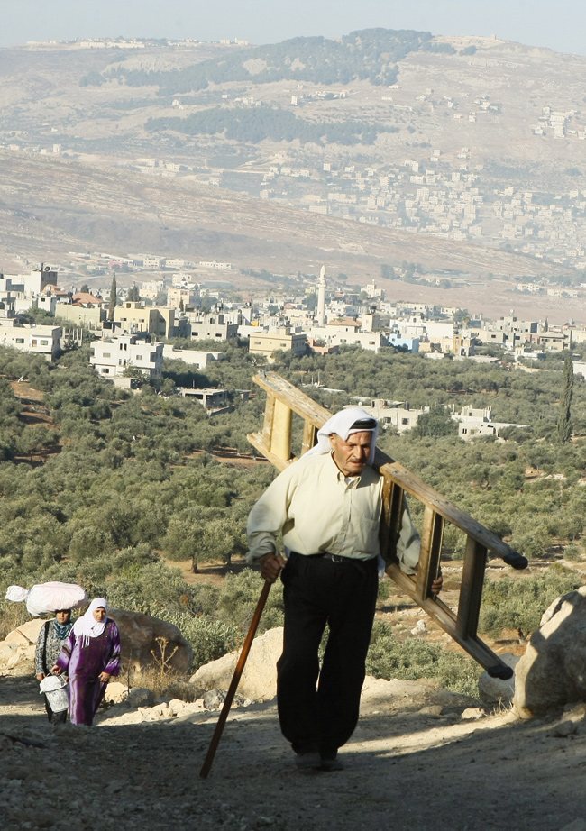 Naplouse : un paysan palestinien franchit une barrière érigée au milieu d'un champ d'oliviers par l'armée israélienne pour protéger une colonie. - AFP / Ashtiyeh