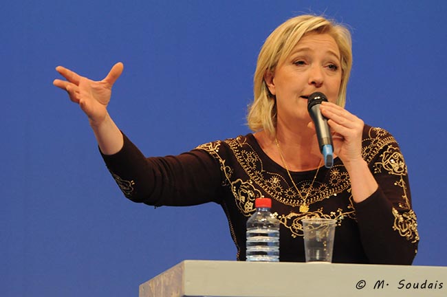 Illustration - L’écologie selon Marine Le Pen 