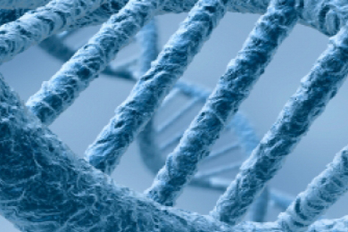 Le fichage ADN aura son débat public