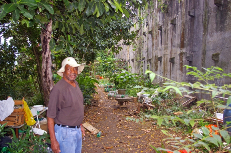 Un jardin communautaire dans la favela Santa Teresa 