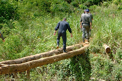 La guerre sans fin des chercheurs d’or clandestins en Guyane