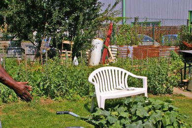 Quand les potagers deviennent un moyen de survivre. Témoignage d’un salarié de PSA