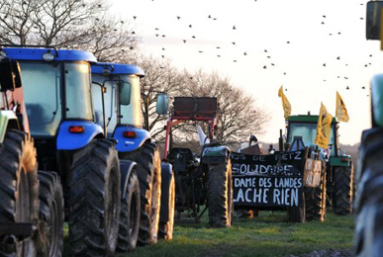 Notre-Dame-des-Landes : la ferme de Bellevue s’adresse au Président