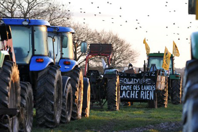 Notre-Dame-des-Landes : les opposants gagnent un répit d’un an et demi