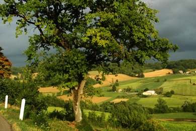 L’orage menace