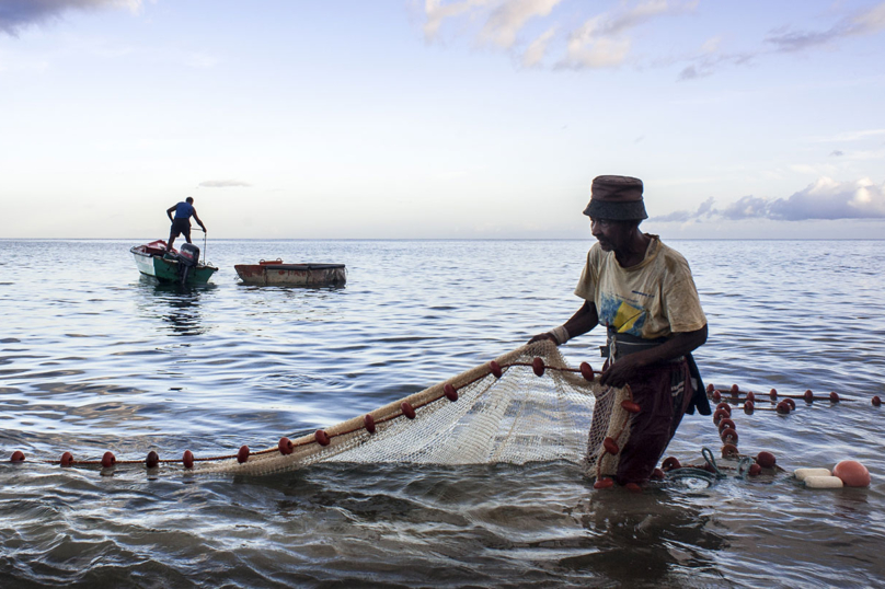 Aux Antilles, les pêcheurs, dernières victimes du chlordécone