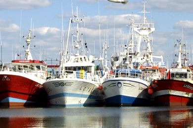 La pêche profonde : au-delà du buzz, de véritables enjeux