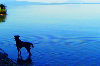 Cannes 2014 : « Adieu au langage » de Jean-Luc Godard ; « l’Institutrice » de Nadav Lapid