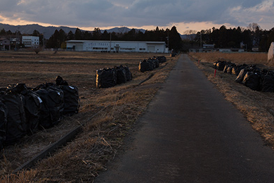 Fukushima, des particules et des hommes