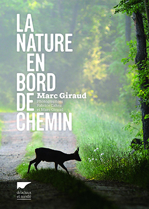 Illustration - Identifier et comprendre la nature ordinaire