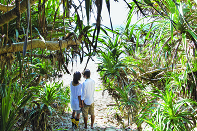 « Still The Water », de Naomi Kawase : Une vague sur la mère morte