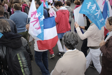 Manif’ pour tous : Drapeaux roses et bleus sur écrans géants