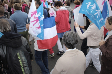 Manif’ pour tous : Drapeaux roses et bleus sur écrans géants