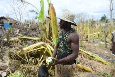 Vanuatu : une agriculture détruite par la mer