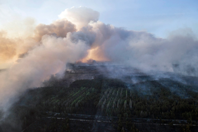 Alerte à la radioactivité: la forêt brûle à Tchernobyl