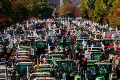 L’espoir fauché des agriculteurs