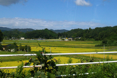 Retourner à Fukushima ?