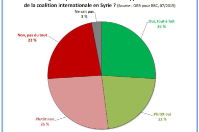 Un sondage qui décoiffe : l’avis des Syriens