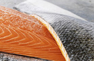 OGM: le saumon transgénique saute dans les assiettes américaines