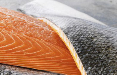 OGM: le saumon transgénique saute dans les assiettes américaines