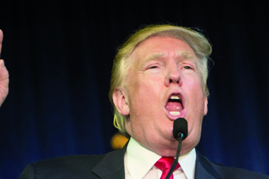 Donald Trump, ad nauseam