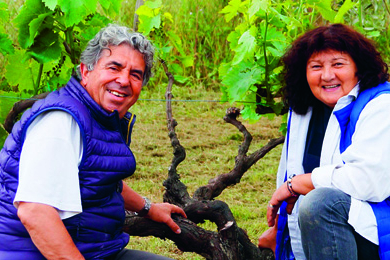 Lydia et Claude Bourguignon : Amis de la terre