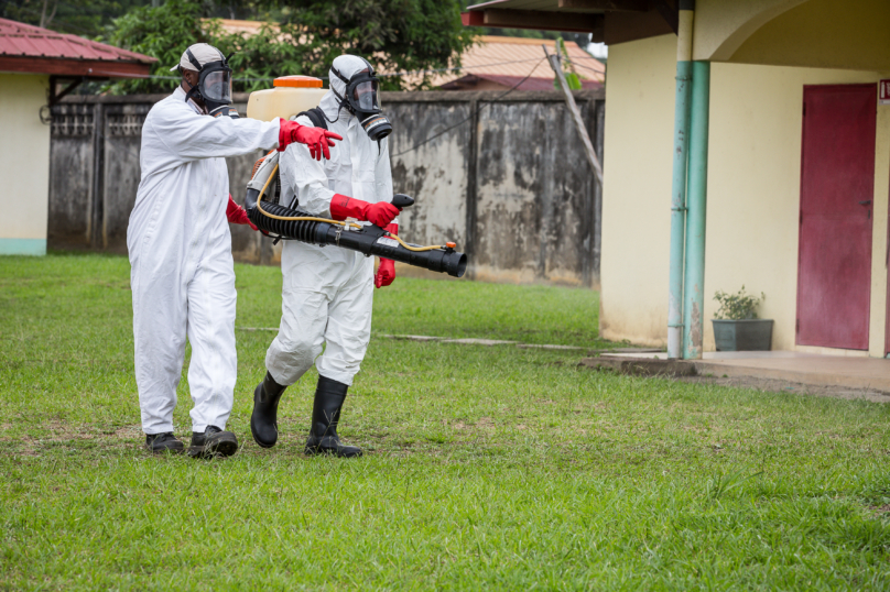 ZIKA: fantasmes, impuissance et insecticides