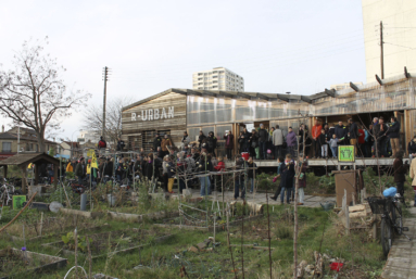 Une ferme urbaine expérimentale en lutte pour sa survie