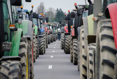 Les agriculteurs fauchés par la crise