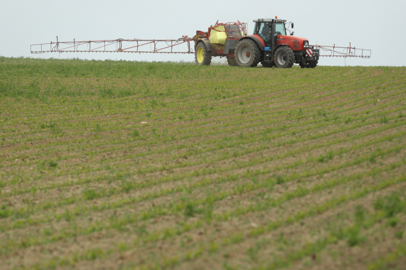 Le casse-tête sur le glyphosate continue