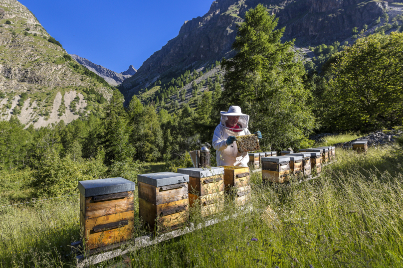 Pesticides : une semaine de recul ?