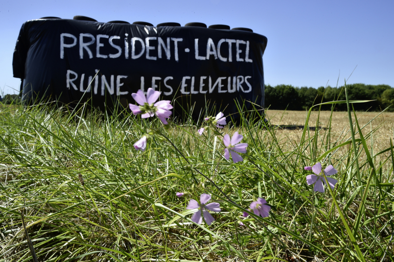 Lactalis : Haro sur le géant laitier