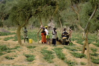 Accords Europe-Afrique : un marché de dupes