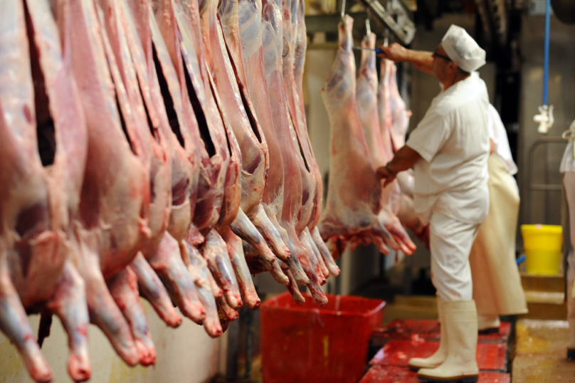 Abattoirs : « Le rythme de travail des salariés n’est jamais remis en question »