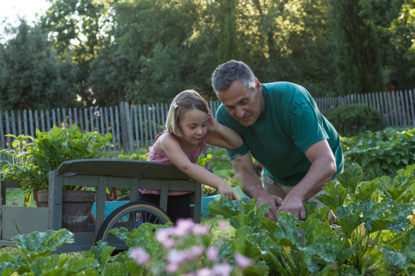 « Taxe potager » : attention, rumeur !