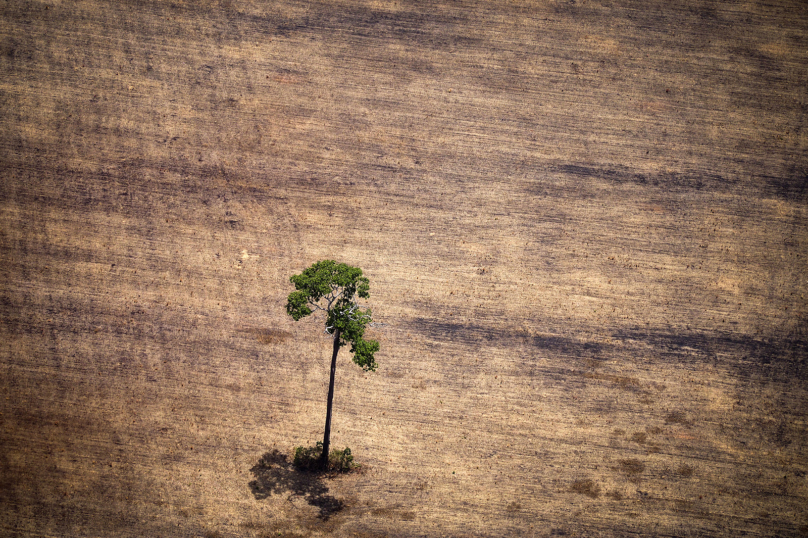 Sanctionner les crimes écologiques