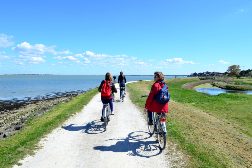 L’ONU lance un appel mondial à la construction de pistes cyclables