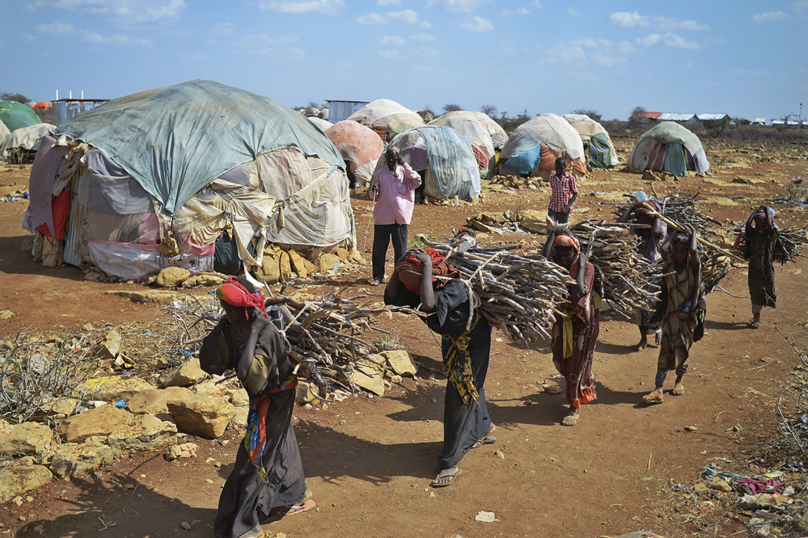 Famine : à qui la faute ?