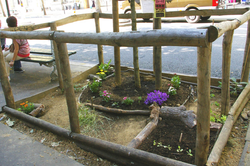 Cultiver son jardin au pied des arbres à Paris, c’est possible !