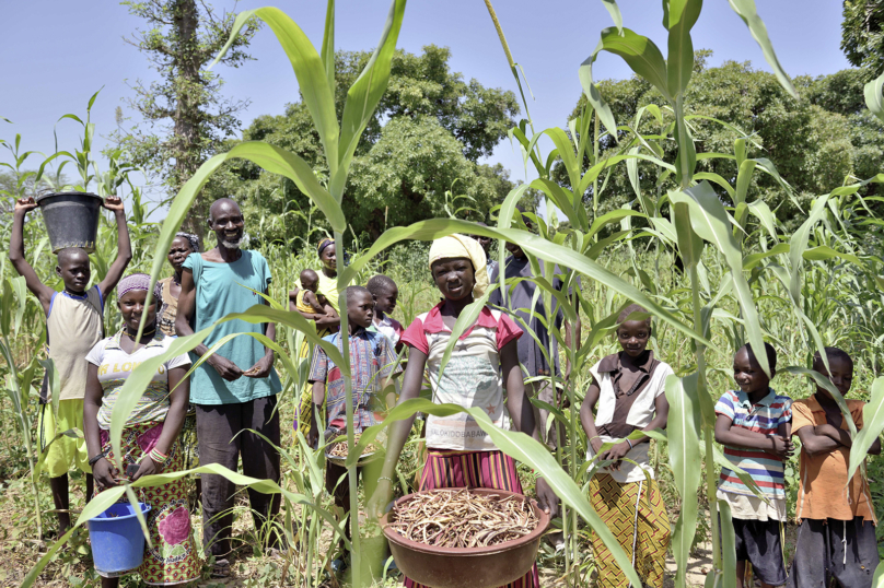 Au Burkina Faso, le pari précaire de l’agro-industrie