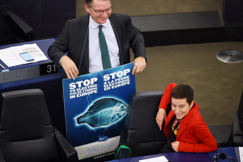 Le Parlement européen coule la pêche électrique